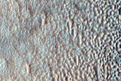 Gully Monitoring
