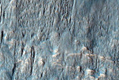 Network of Channels on Rim of Newton Crater