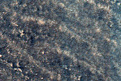Landforms above Subsurface Radar Observations of South Polar Cap