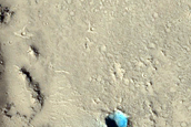 Thermal Anomaly in Young Lava Flows of Elysium Mons
