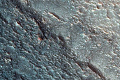Dune Monitoring