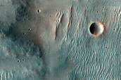 Gullies in Crater Wall