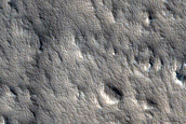 Olympus Mons