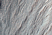 Gully Monitoring