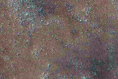 Dune Field