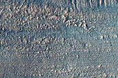 Gully Monitoring