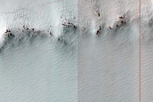 South Polar Residual Cap Monitoring