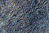 Scarp Monitoring