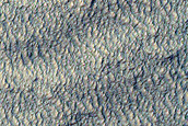 Scarp Monitoring