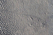 Monitoring New Impact Site 