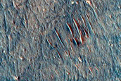 Small Barchan Dunes in Northeast Argyre Region