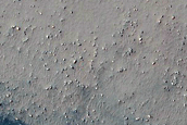 Dune Field