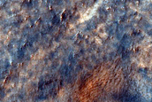 Dune Field