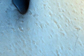 Dune Field