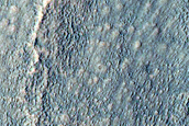 Gully Monitoring