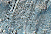 Network of Channels on Rim of Newton Crater