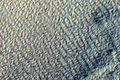 Scarp Monitoring