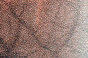 Gully and Dune Topography in Noachis Terra