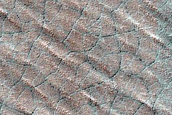 South Polar Perennial Ice Outlier Monitoring