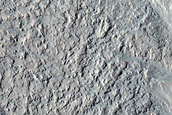 Gully Monitoring
