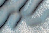 Dune Field