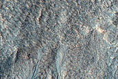 Gully Monitoring