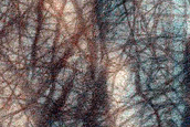 Dunes with Araneiform at Edge of USGS Dune Database Entry Number 2251-763