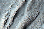 Gully Monitoring