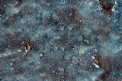 Candidate Recent Impact Site