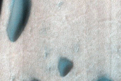 Dune Field Survey