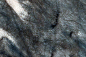 Seasonal Spots in Burroughs Crater