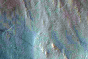 Gully Monitoring
