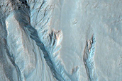 Gully Monitoring