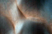 USGS Dune Database Entry Number 1473-669
