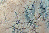 Large Araneiform Structures Southeast of Rayleigh Crater