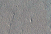 Monitoring New Impact Site