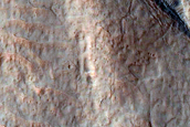 Gullies in Southern Mid-Latitude Crater