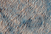 Possibly Olivine-Rich Materials in Eridania Region Basin