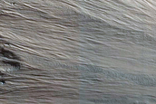 Frost Survey on Steep Slopes