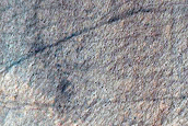Gully Monitoring