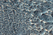 Gully Monitoring