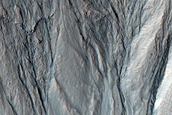 Gully Monitoring