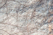 Dune Survey in Barnard Crater