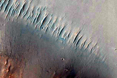 Hillslope Morphologies near Murray Crater