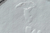 South Polar Residual Cap Monitoring