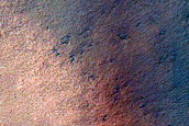 Angustus Labyrinthus