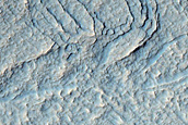 Gully Monitoring
