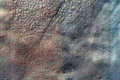 Seasonal Change of Dome Dunes and Polygonal Features in South Polar Region