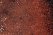 Angustus Labyrinthus