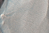 Gully Monitoring
